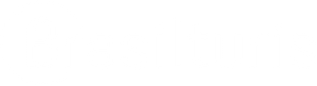 Brasilturis